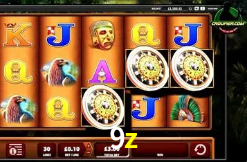 Apostas Esportivas na 9z: Um Guia Completo